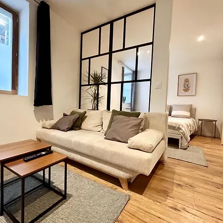 Appartement L'occitane - Grand Chaleureux En Hyper Centre Castres (Tarn)