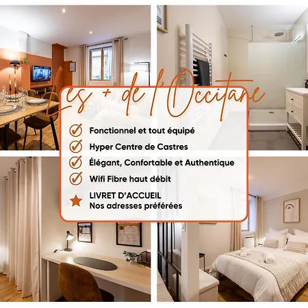 L'occitane - Grand Chaleureux En Hyper Centre Apartment Castres (Tarn)