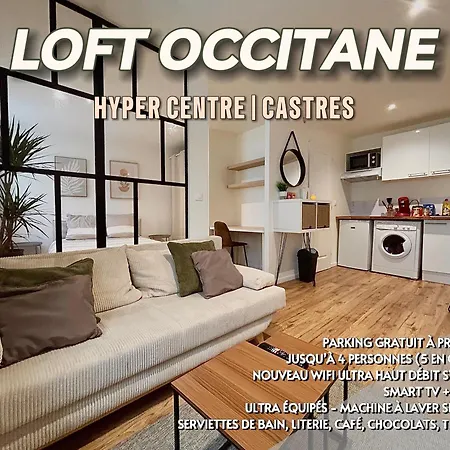 Loft Occitane Hyper Centre Apartamento Castres (Tarn)